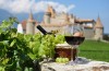 «In vino Veritas» или «Истина в вине» -

дегустационный авторский индивидуальный тур 3 дня по винным дорогам Бургундии (Франция) с проживанием в Замке 4*Sup